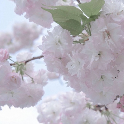 Furry绘画构图指南FurryQQ群